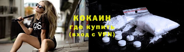 сатива Богданович