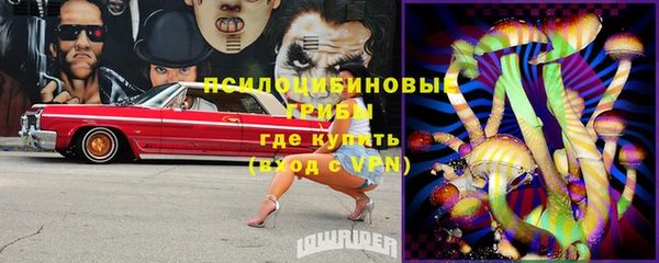 дмт Бугульма
