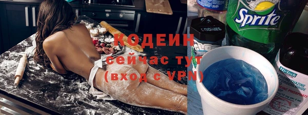 мдпв Туринск