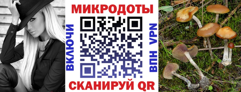 OMG зеркало darknet наркотические препараты Афипский Галлюциногенные грибы Cubensis цены